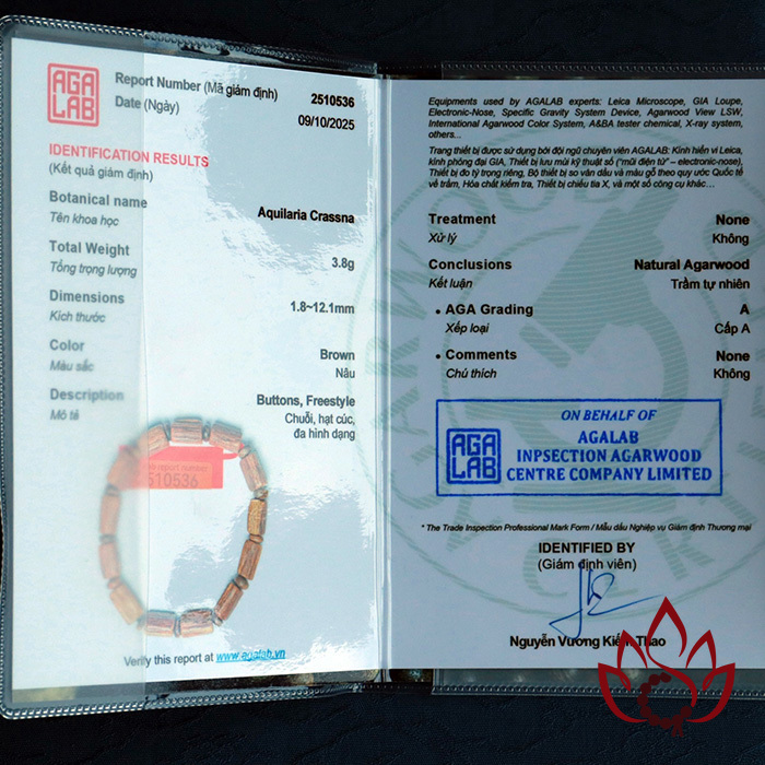 Vòng Trầm Hương Trúc Thô | Trầm Kiến Tự Nhiên Lâu Năm